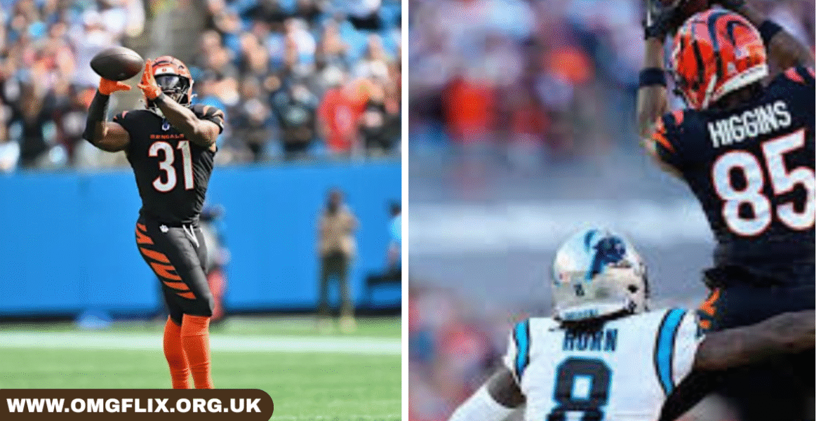 bengals vs carolina panthers match player stats