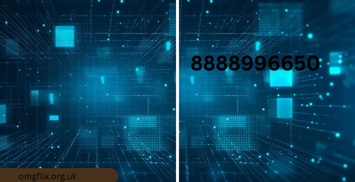 8888996650