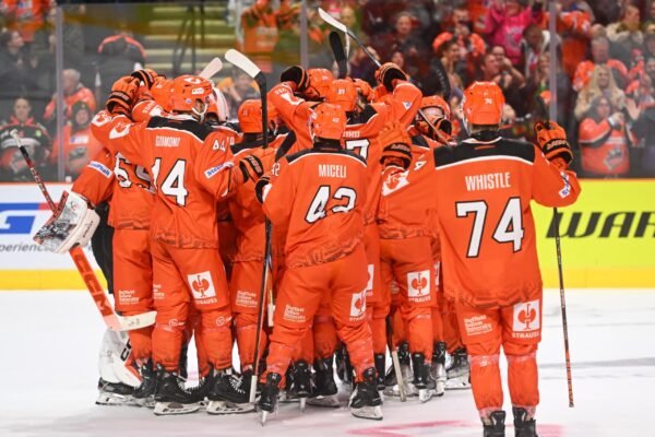 Sheffield Steelers News